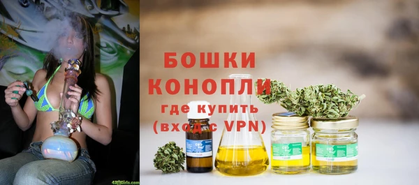 сатива Балахна