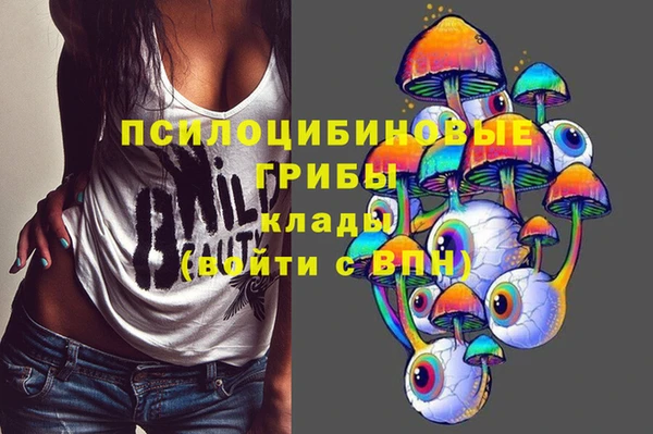 винт Сатка