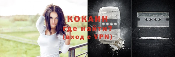 сатива Балахна