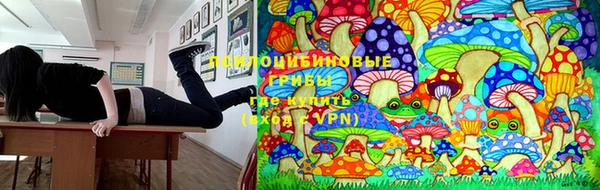 сатива Балахна
