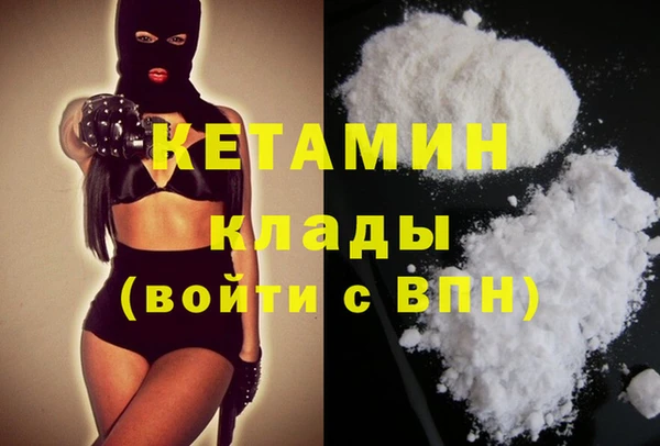 сатива Балахна