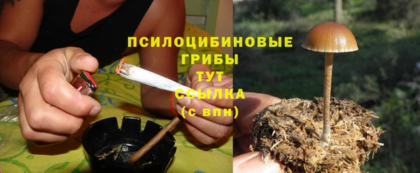 Альфа ПВП Балабаново