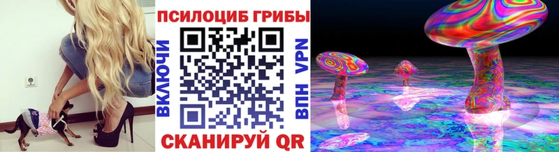 Галлюциногенные грибы Psilocybe  hydra как войти  Избербаш  как найти закладки 